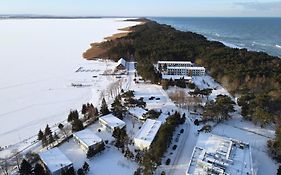 Interferie Dabki Su Argentyt